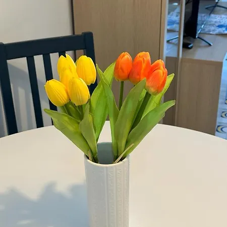 Daire Casa Dei Lauri