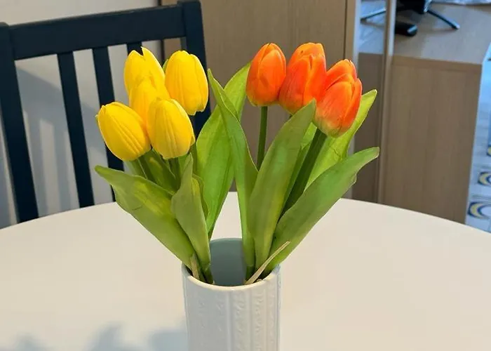 Apartman Casa Dei Lauri